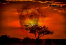 Mufasa Review: The Untold Story That Changes The Lion King Forever