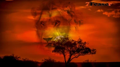 Mufasa Review: The Untold Story That Changes The Lion King Forever