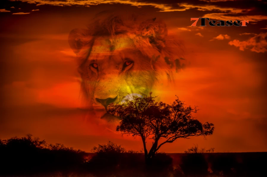 Mufasa Review: The Untold Story That Changes The Lion King Forever